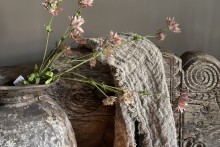 Astrantia Spray  
